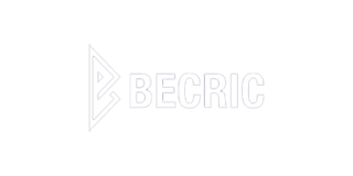 BeCric Casino Casino Logo - Online Casino Review