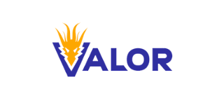Valor Casino Casino Logo - Online Casino Review