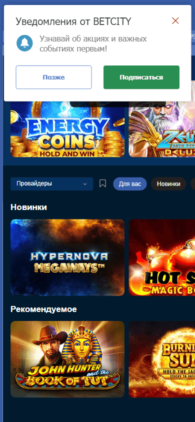 Betcity.net Casino
