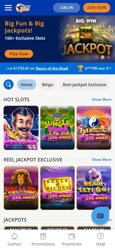 Bingo Liner Casino