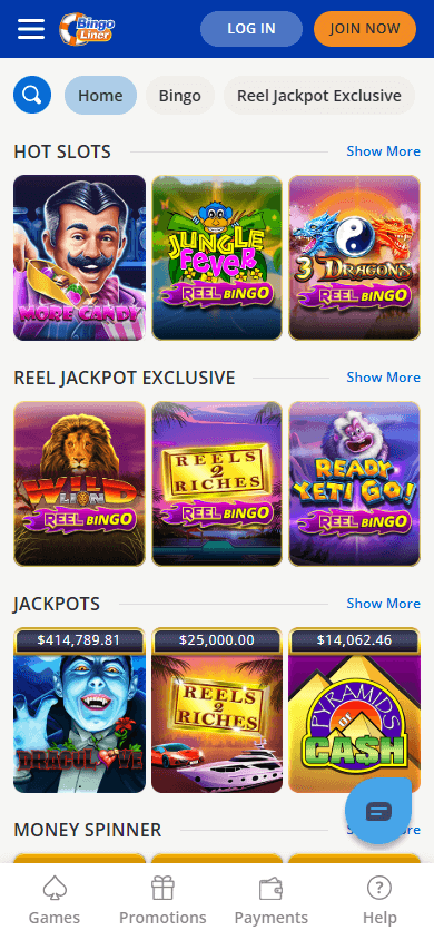 Bingo Liner Casino