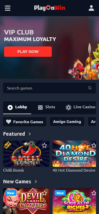 PlayOnWin Casino